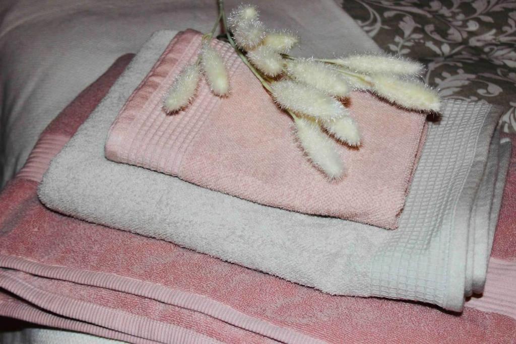 Apartamento El Picu Collanzo 外观 照片
