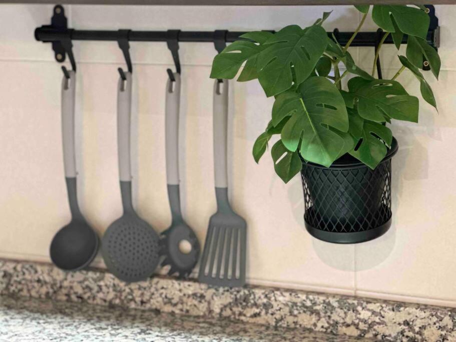 Apartamento El Picu Collanzo 外观 照片