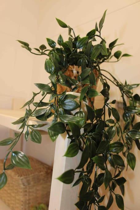 Apartamento El Picu Collanzo 外观 照片