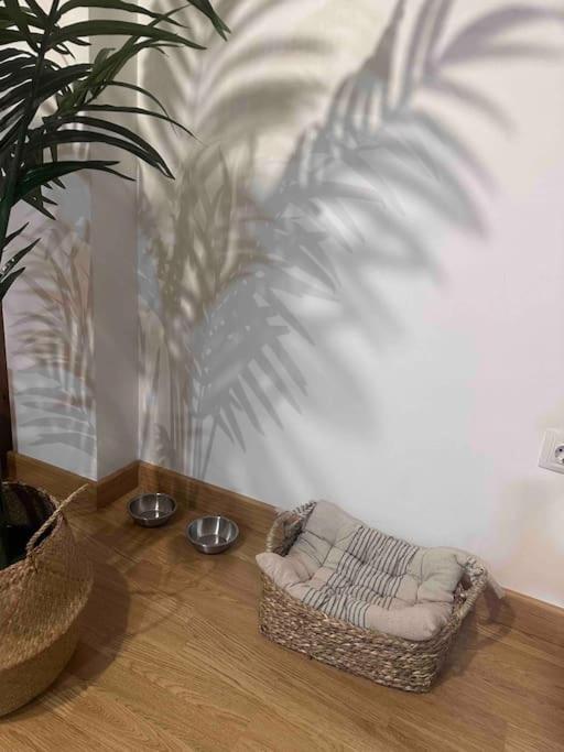 Apartamento El Picu Collanzo 外观 照片